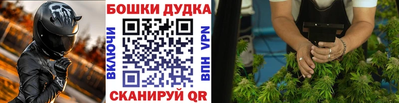 Бошки марихуана гибрид  Купить  Ковдор 